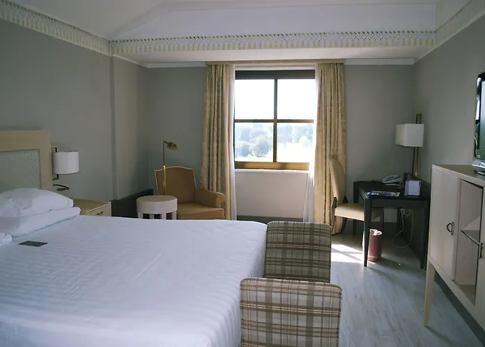 Hotel Sheraton Parco De Medici 4*