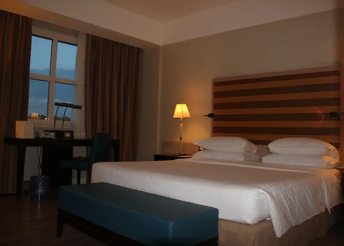 Hotel Sheraton Parco De Medici Rome