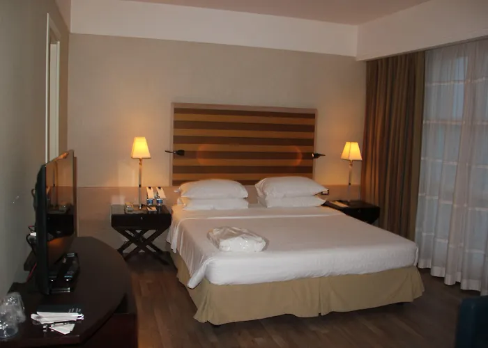 Hotel Sheraton Parco De Medici