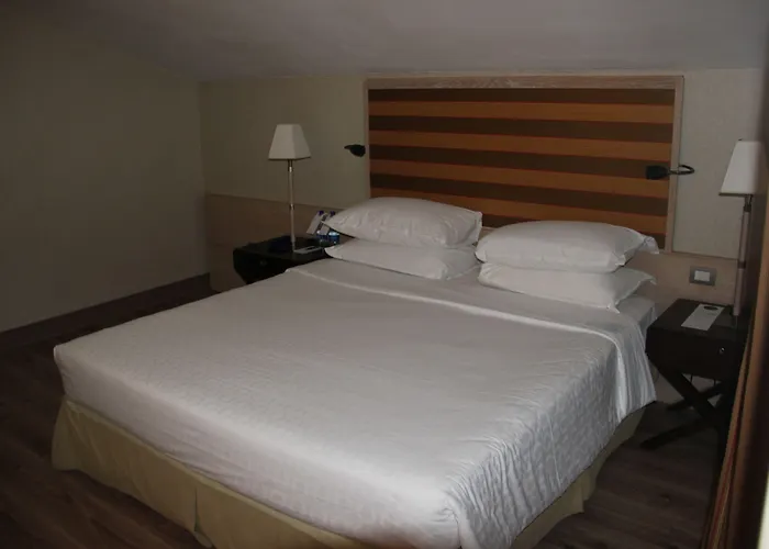 Hotel Sheraton Parco De Medici